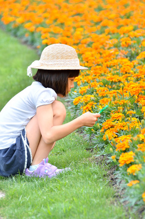 Girl watching the flowers with a magnifying glassの写真素材