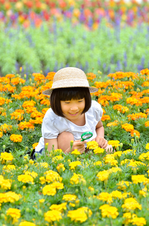 Girl watching the flowers with a magnifying glassの写真素材