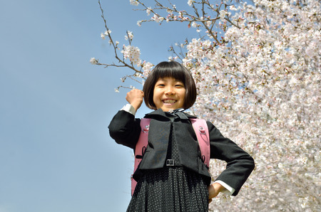 The first grade girl and cherry blossomの写真素材