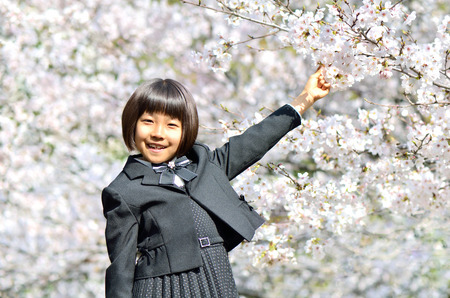 The first grade girl and cherry blossomの写真素材