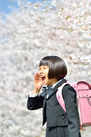 The first grade girl and cherry blossomの写真素材