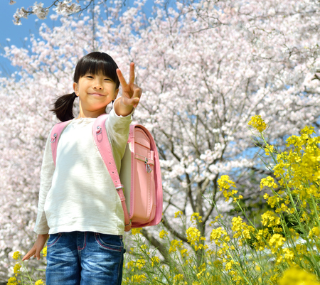 Girl and cherry treeの写真素材