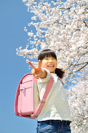 Girl and cherry treeの写真素材