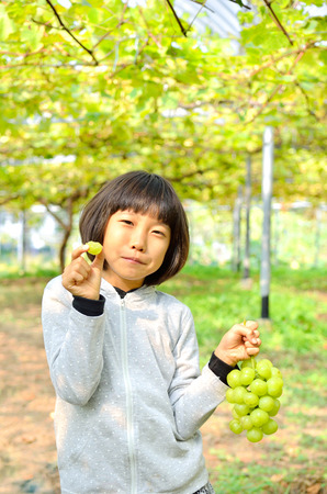 Girls enjoy grape pickingの写真素材