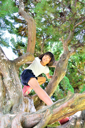 Girls enjoy tree climbingの写真素材