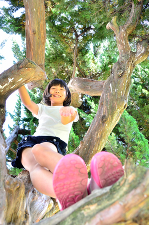 Girls enjoy tree climbingの写真素材