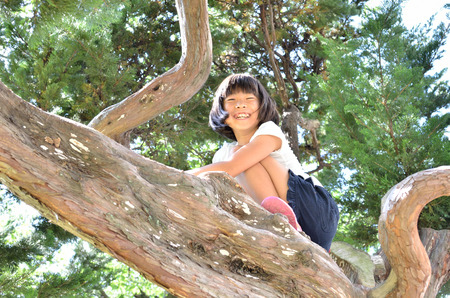 Girls enjoy tree climbingの写真素材