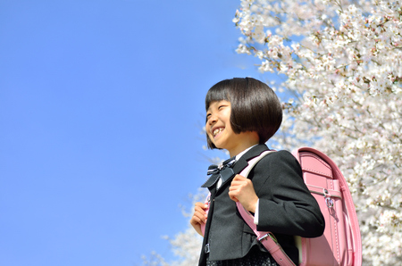The first grade girl and cherry blossomの写真素材