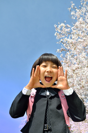 The first grade girl and cherry blossomの写真素材