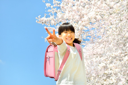Girl and cherry treeの写真素材