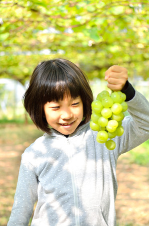 Girls enjoy grape pickingの写真素材