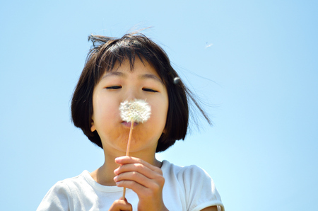 Girls blowing dandelion seedsの写真素材