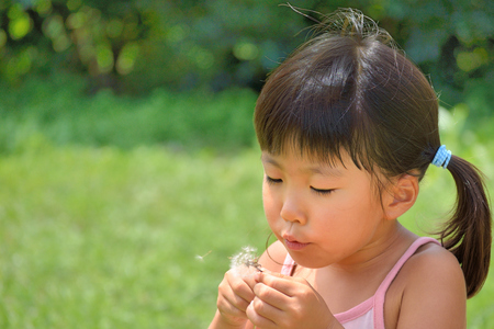 Girls blowing dandelion seedsの写真素材