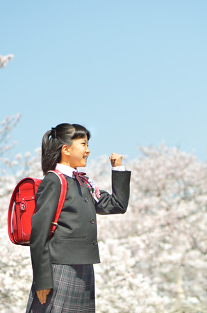 Japanese elementary school student (cherry, graduation)の写真素材