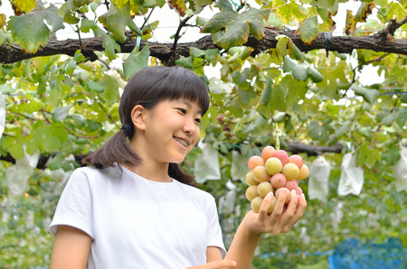 Girl enjoy grape pickingの写真素材