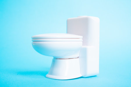 Miniature Western-style toilet