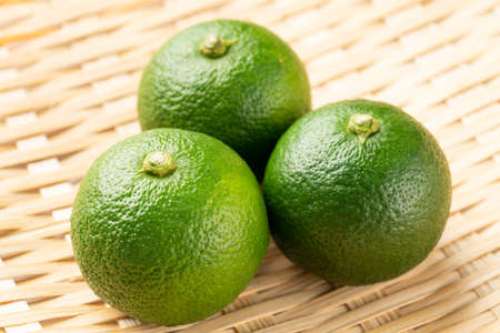 Citrus sudachi.
Sudachi is a citrus fruit similar to a lime.の写真素材