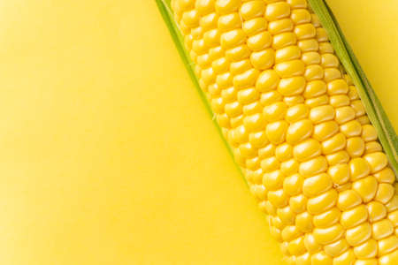 Corn on yellow backgroundの写真素材
