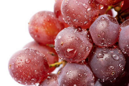 grape