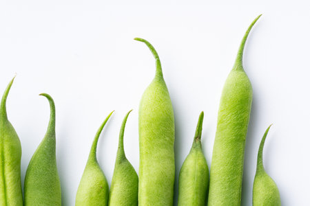 Green beans on white backgroundの写真素材