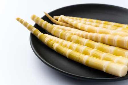Small bamboo shoots boiled in waterの写真素材