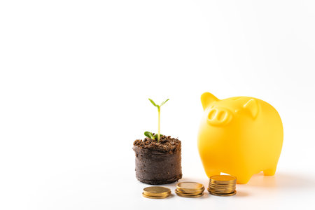 Buds and piggy banks and gold coinsの写真素材