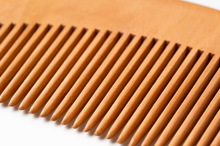 Boxwood Combs