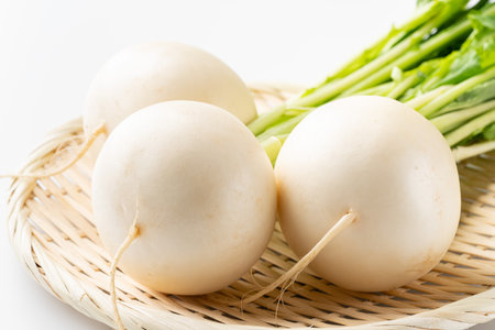 Turnip