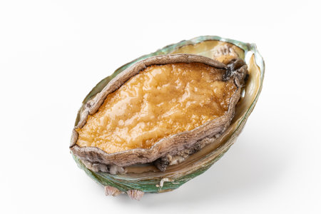 Live abalone