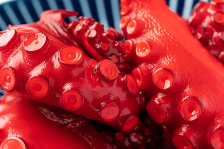 vinegar octopusの写真素材