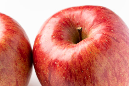 Appleの写真素材