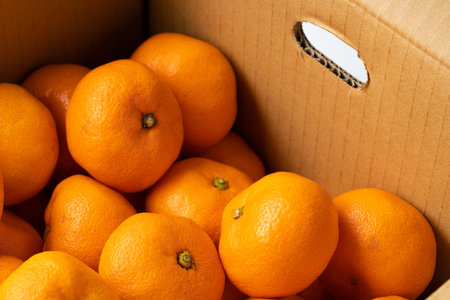 a lot of tangerines in cardboard boxes,の写真素材