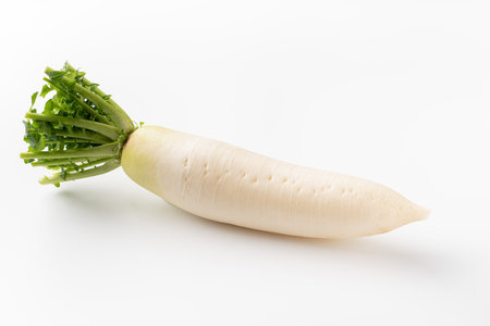 Daikon radishの写真素材