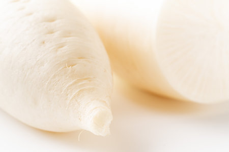 Daikon radishの写真素材