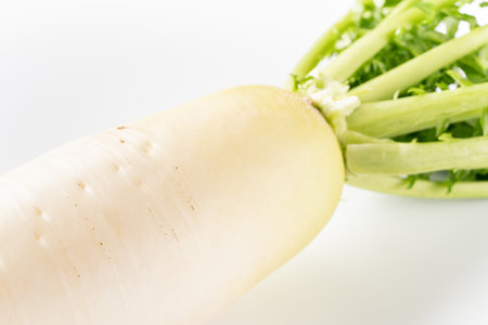 Daikon radishの写真素材