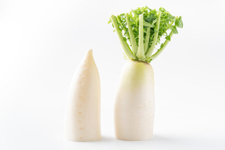Daikon radishの写真素材