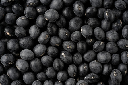Black Beanの写真素材