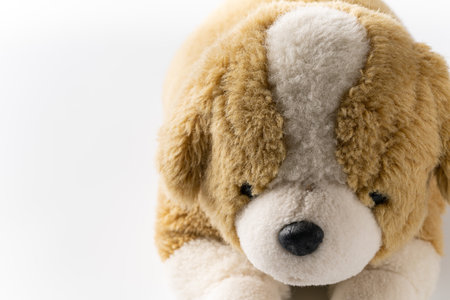 Plush dogの写真素材