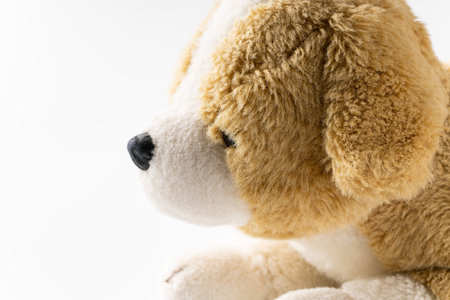 Plush dogの写真素材