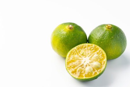 Citrus sudachiの写真素材