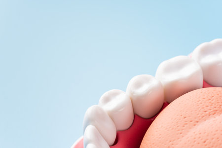 Dentistry Imageの写真素材