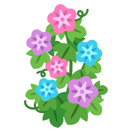 Illustration of morning glory with colorful flowersのイラスト素材