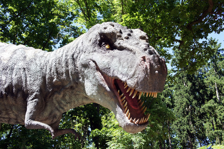 Tyrannosaurus rexの写真素材