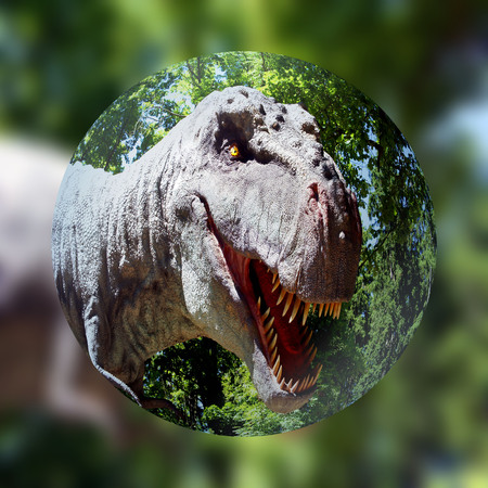 Tyrannosaurus rex zoomed in detailの写真素材