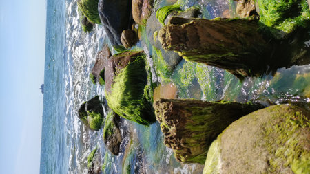 Rocky coast of the Baltic Sea with green moss in the foregroundの写真素材