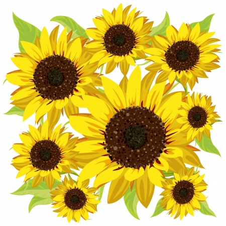 sunflower patternのイラスト素材