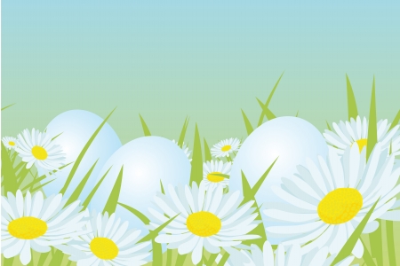 easter white eggs on the daisy fieldのイラスト素材