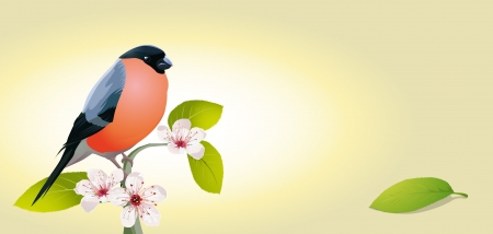 vintage card with bird and cherry blossoms のイラスト素材