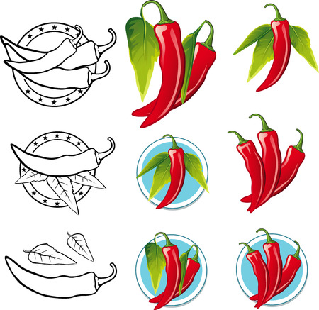 Chili Pepper illustration - Illustration pictureのイラスト素材