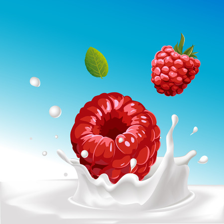 vector splash of milk with raspberry - illustration with blue backgroundのイラスト素材